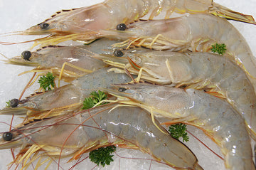 Karumba Banana Prawns (Wild Caught), U20, 1kg, frozen