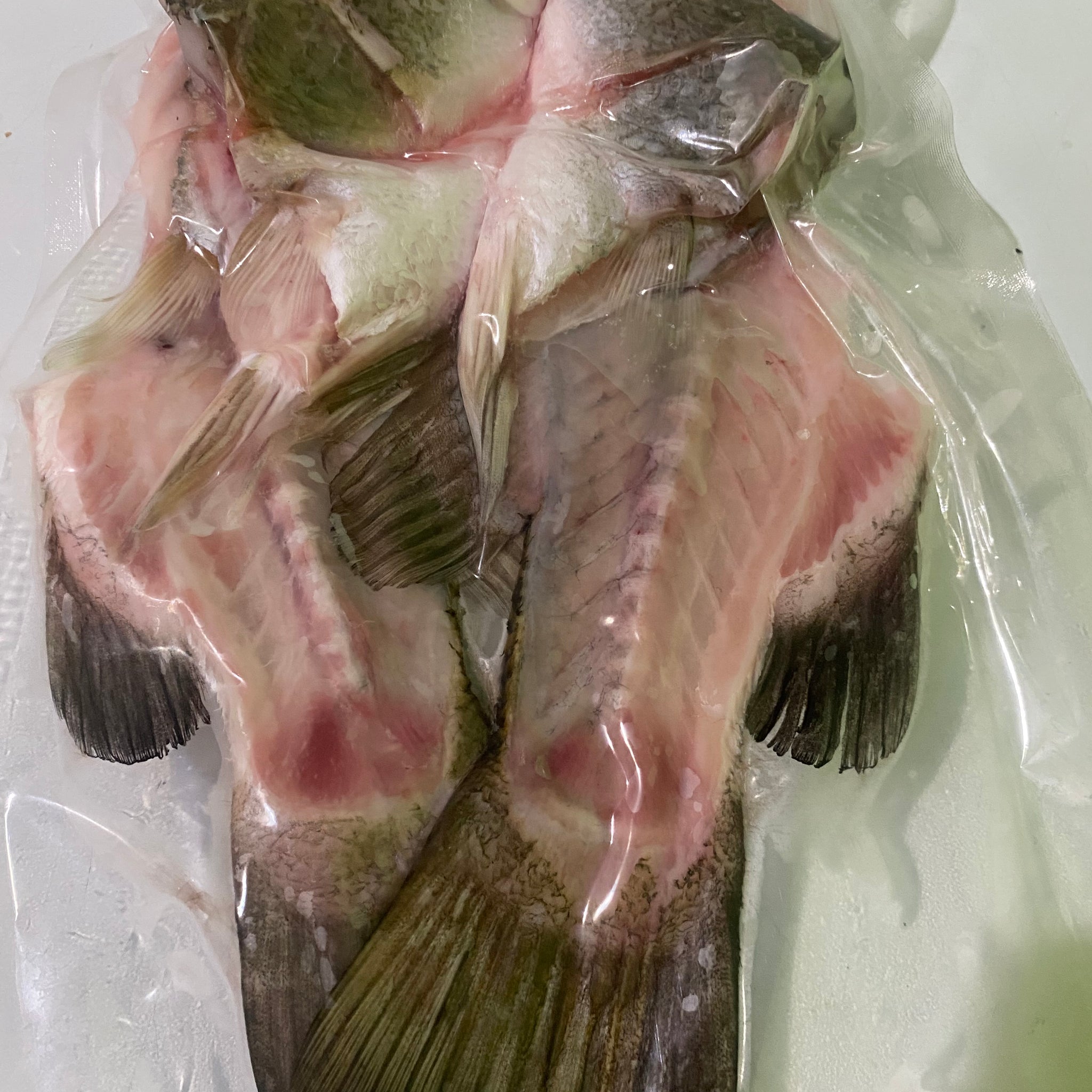 Barramundi (Seabass) heads, carcasses & tails, 575-625g, price/pack, frozen