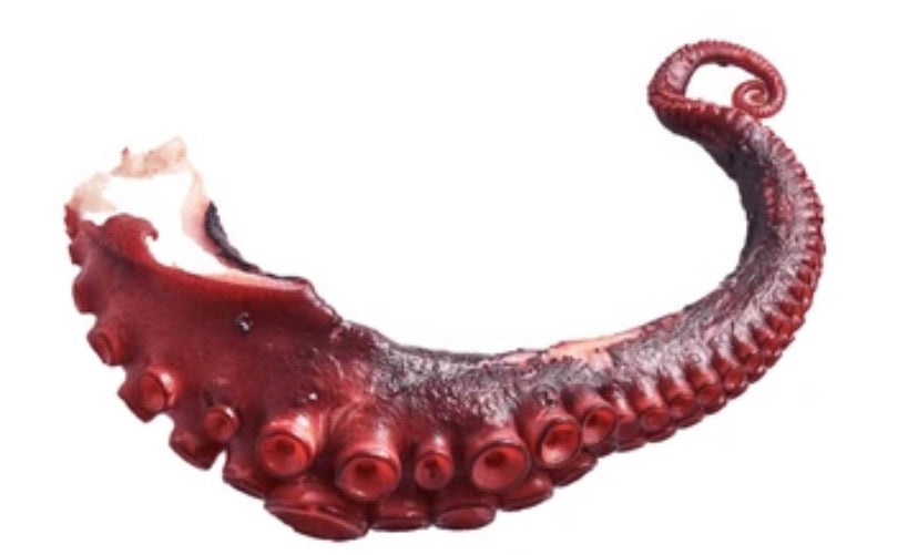 Octopus Tentacles, Cooked (Spain), 120-145g (1 leg) pack, frozen
