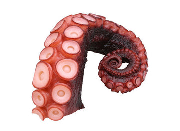 Octopus Tentacles, Cooked (Spain), 120-145g (1 leg) pack, frozen