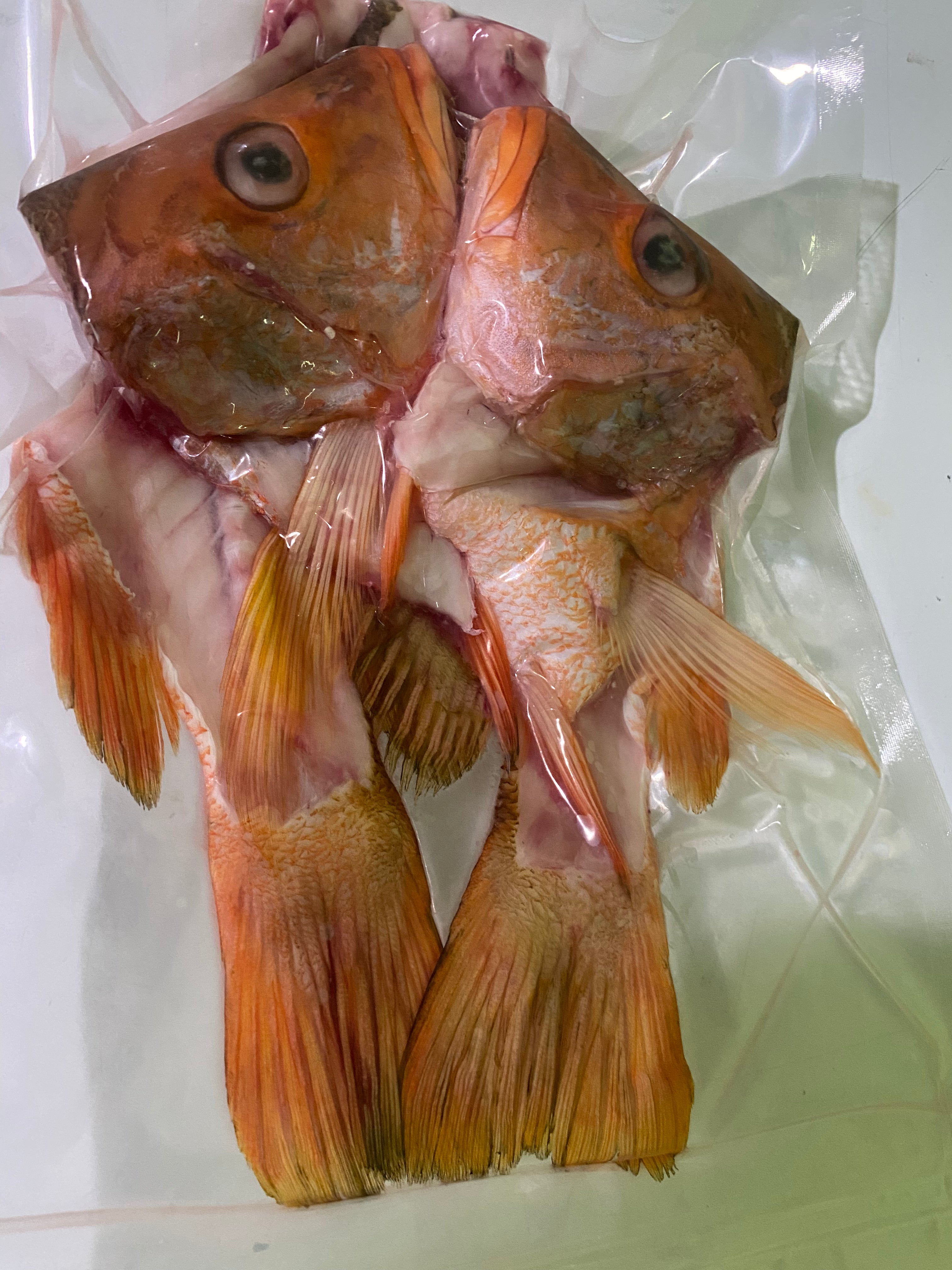 Wild Red Snapper, heads, carcasses & tails, 675-725g, price/pack, froz