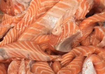 King Salmon (Chinook) off-cut Portions, skin on, boneless, approx 500g, price/pack, frozen