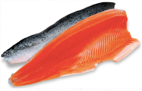 Fresh King Salmon Chinook Whole Side Fillet, boneless, skin-on ($84/kg)