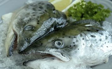 Salmon Head, 2 Whole Heads split (4 pces)/pack (1150-1300g), frozen