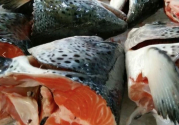 New Zealand King Salmon (Chinook) Whole Head split in 2 with Carcass/Tail, 700-800g, frozen